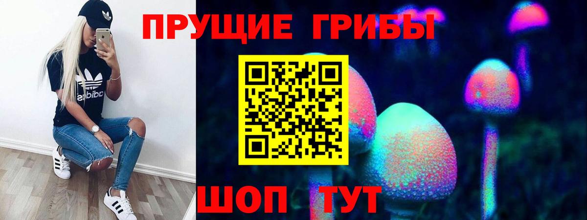 Борисоглебск  Галлюциногенные грибы Psilocybine cubensis  Вход с VPN  Псилоцибиновые грибы мухоморы 